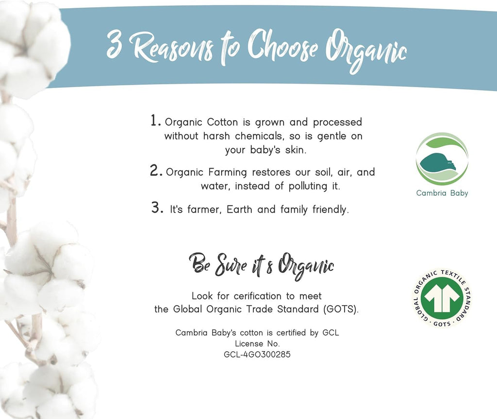 Organic Cotton Jersey Bassinet Sheets (3 - Pack) – Stretch Fit for Halo, Snoo, Graco & Standard Bassinets, Ultra - Soft & Breathable - OurOwnHaven