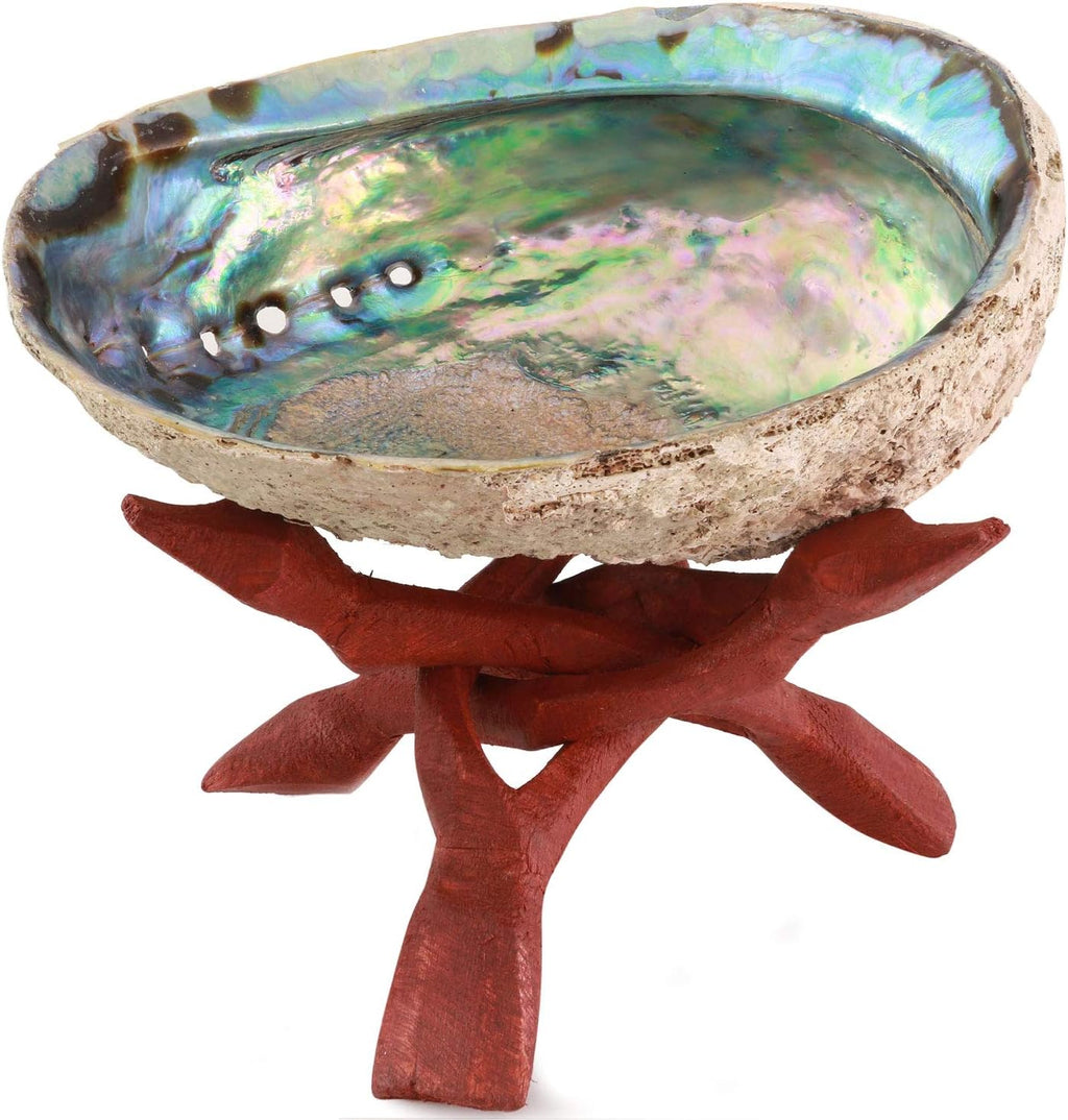 Natural Abalone (Pāua) Shell with Stand – Sustainably Sourced Smudging Bowl for Meditation, Incense & Home Cleansing (6–6.5”) - OurOwnHaven