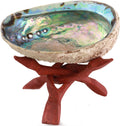 Natural Abalone (Pāua) Shell with Stand – Sustainably Sourced Smudging Bowl for Meditation, Incense & Home Cleansing (6–6.5”) - OurOwnHaven