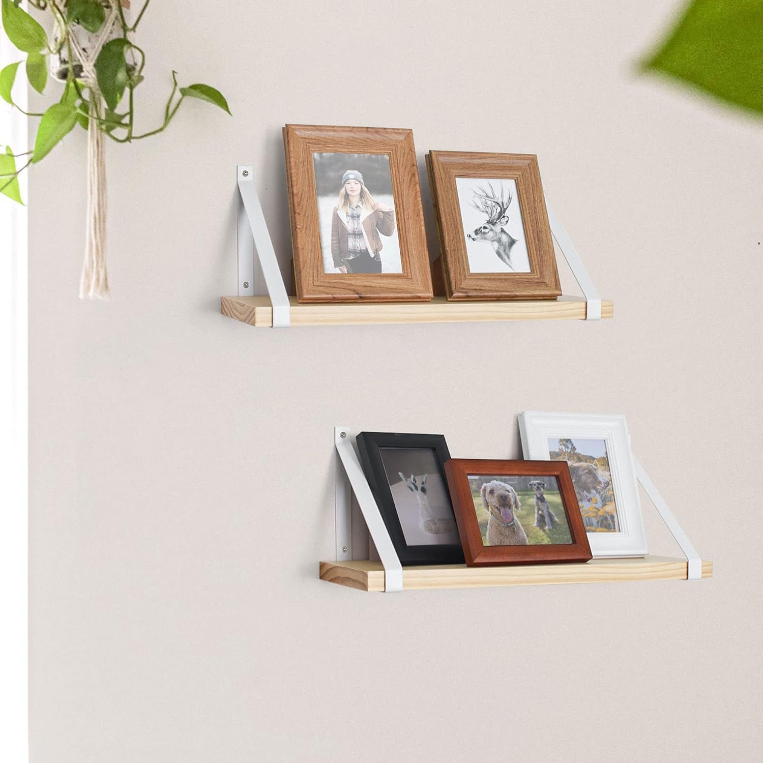 Labcosi Natural Wood Floating Shelves Wall Mounted for Bathroom, Living Room, Kitchen, Office, Nursery, Bedroom, 2-Pack Modern Decor Wooden Wall Shelf