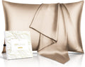 100% Pure Mulberry Silk Pillowcase for Hair & Skin - 22 Momme 6A High - Grade Fibers - Anti - Aging, Anti - Sleep Crease, Cooling Satin Pillowcases with Hidden Zipper, Best Gift Idea (Standard 20X26 Inches) - OurOwnHaven