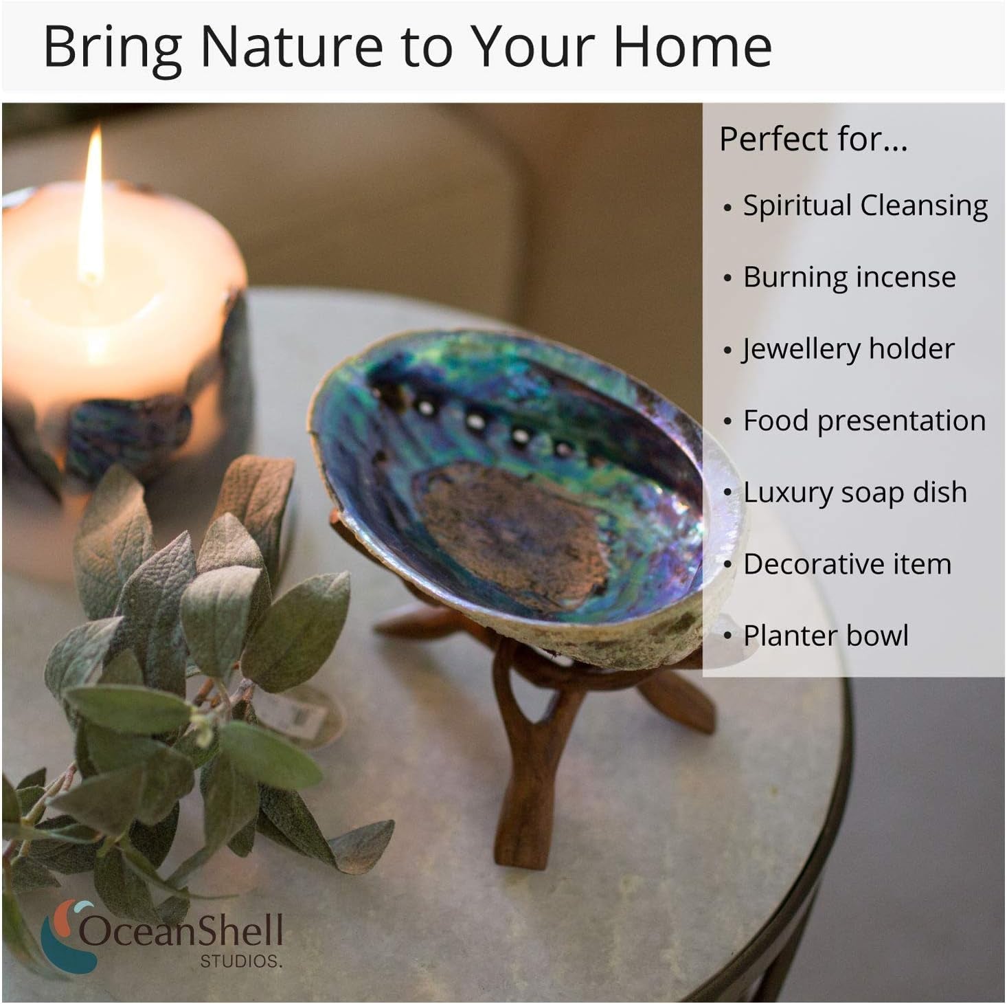 Natural Abalone (Pāua) Shell with Stand – Sustainably Sourced Smudging Bowl for Meditation, Incense & Home Cleansing (6–6.5”) - OurOwnHaven
