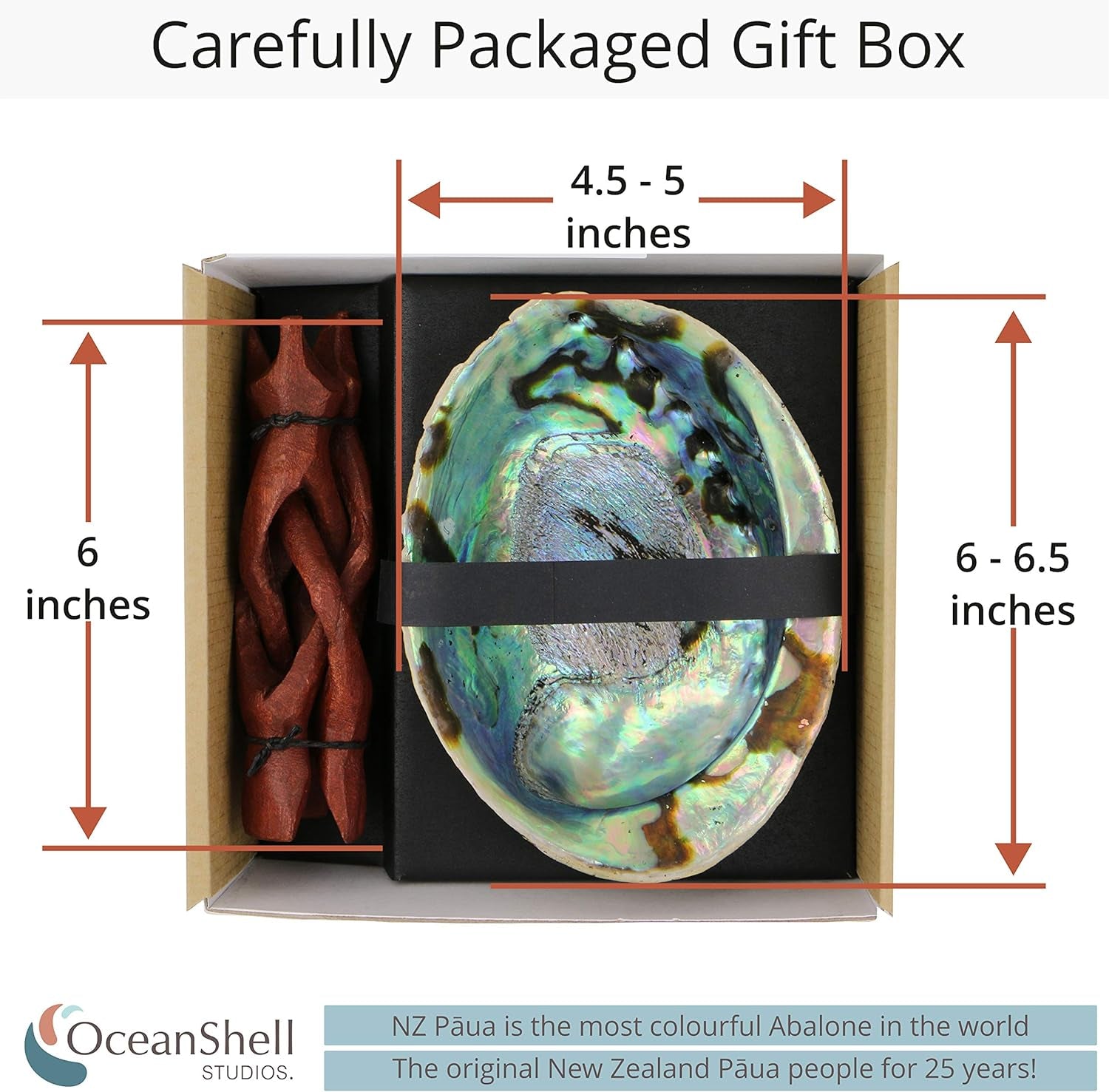 Natural Abalone (Pāua) Shell with Stand – Sustainably Sourced Smudging Bowl for Meditation, Incense & Home Cleansing (6–6.5”) - OurOwnHaven