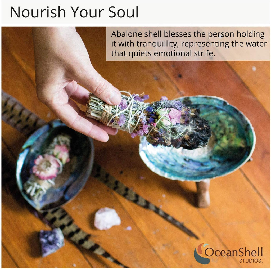 Natural Abalone (Pāua) Shell with Stand – Sustainably Sourced Smudging Bowl for Meditation, Incense & Home Cleansing (6–6.5”) - OurOwnHaven